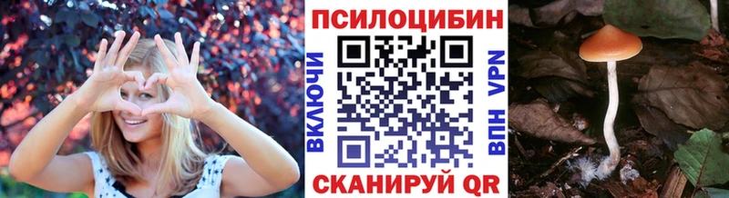 Псилоцибиновые грибы Cubensis ссылка на мегу рабочий сайт Певек закладки
